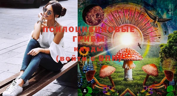 герыч Мегион