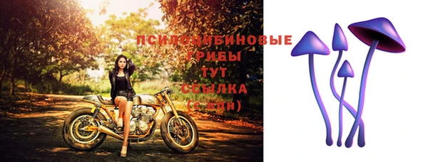 стафф Армавир