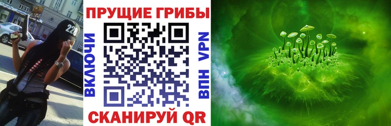 Псилоцибиновые грибы Cubensis  купить  сайты  Комсомольск-на-Амуре 