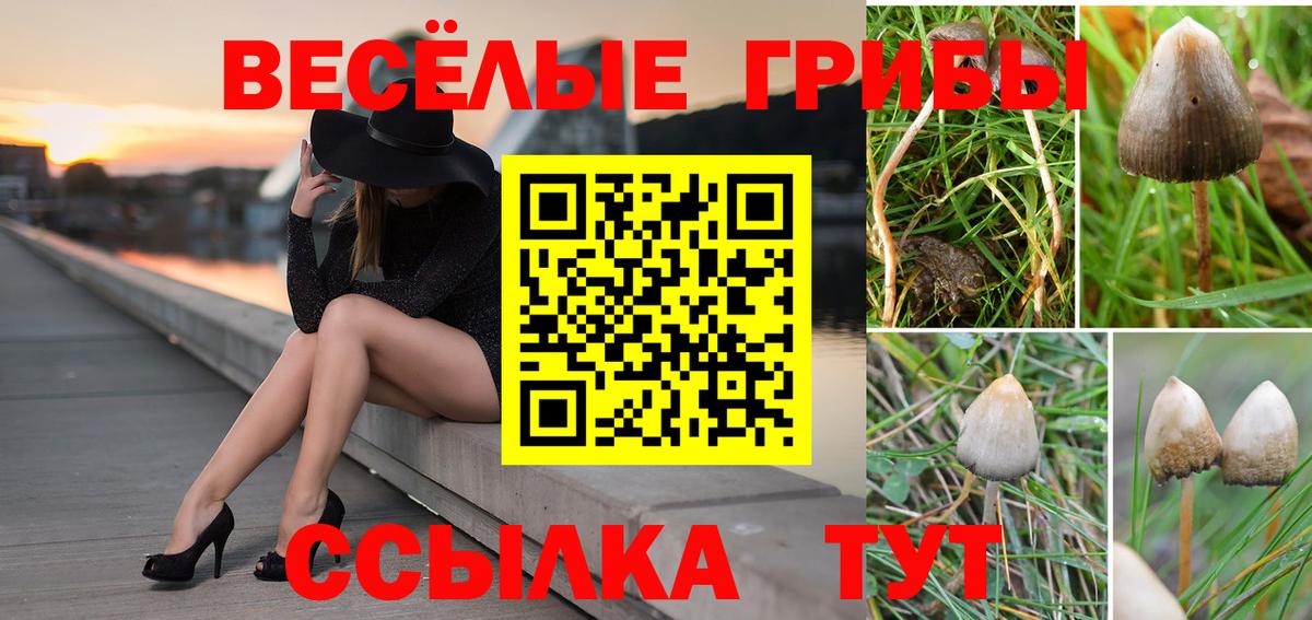 Галлюциногенные грибы мицелий Комсомольск-на-Амуре