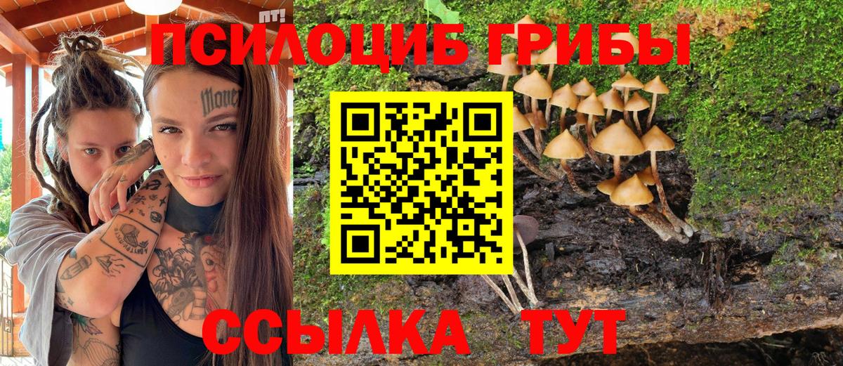 Галлюциногенные грибы Cubensis  Псилоцибиновые грибы прущие грибы  купить наркоту  Вход с VPN  Комсомольск-на-Амуре 